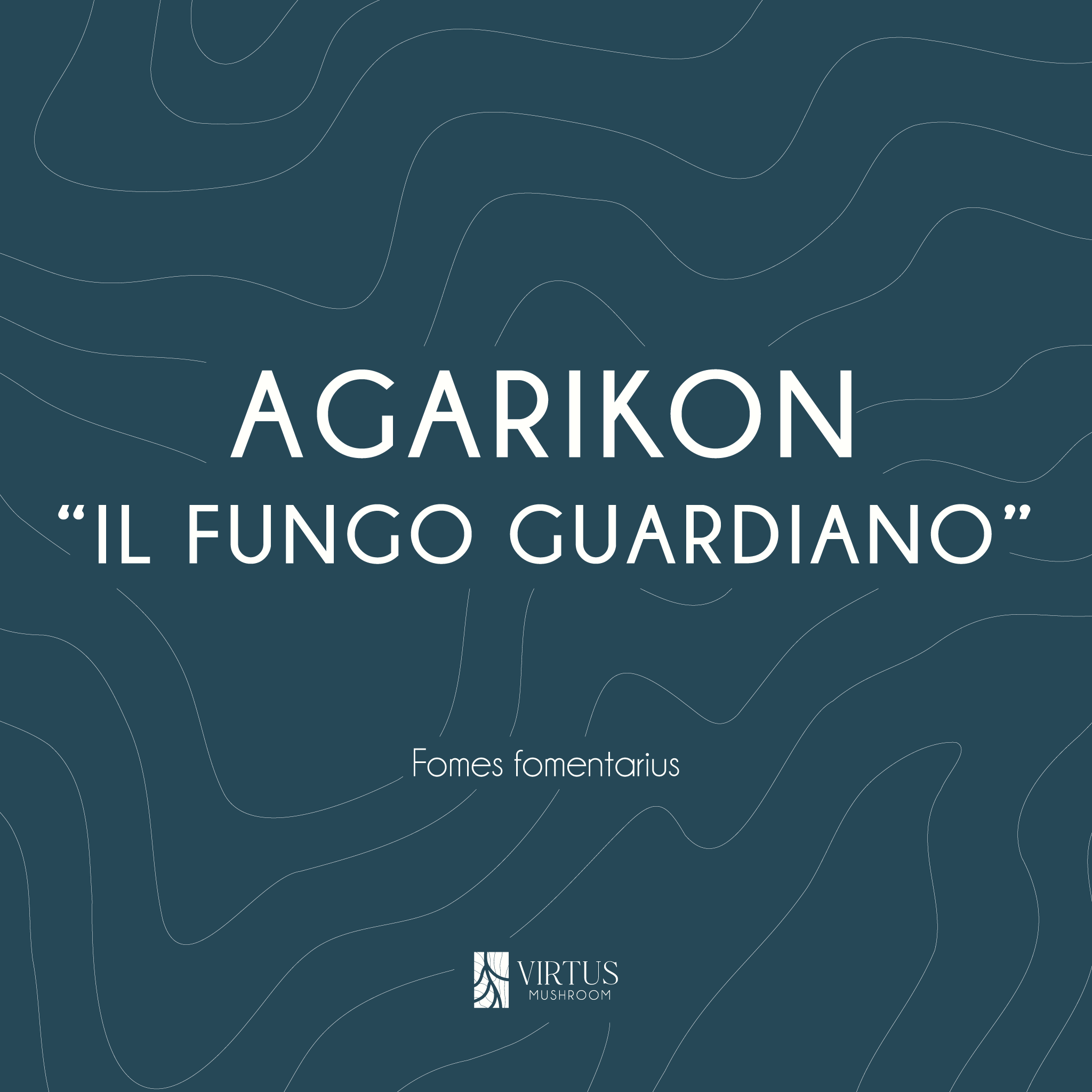 Grafica di presentazione per il Agarikon (Fomes fomentarius) biologico italiano - Virtus Mushroom