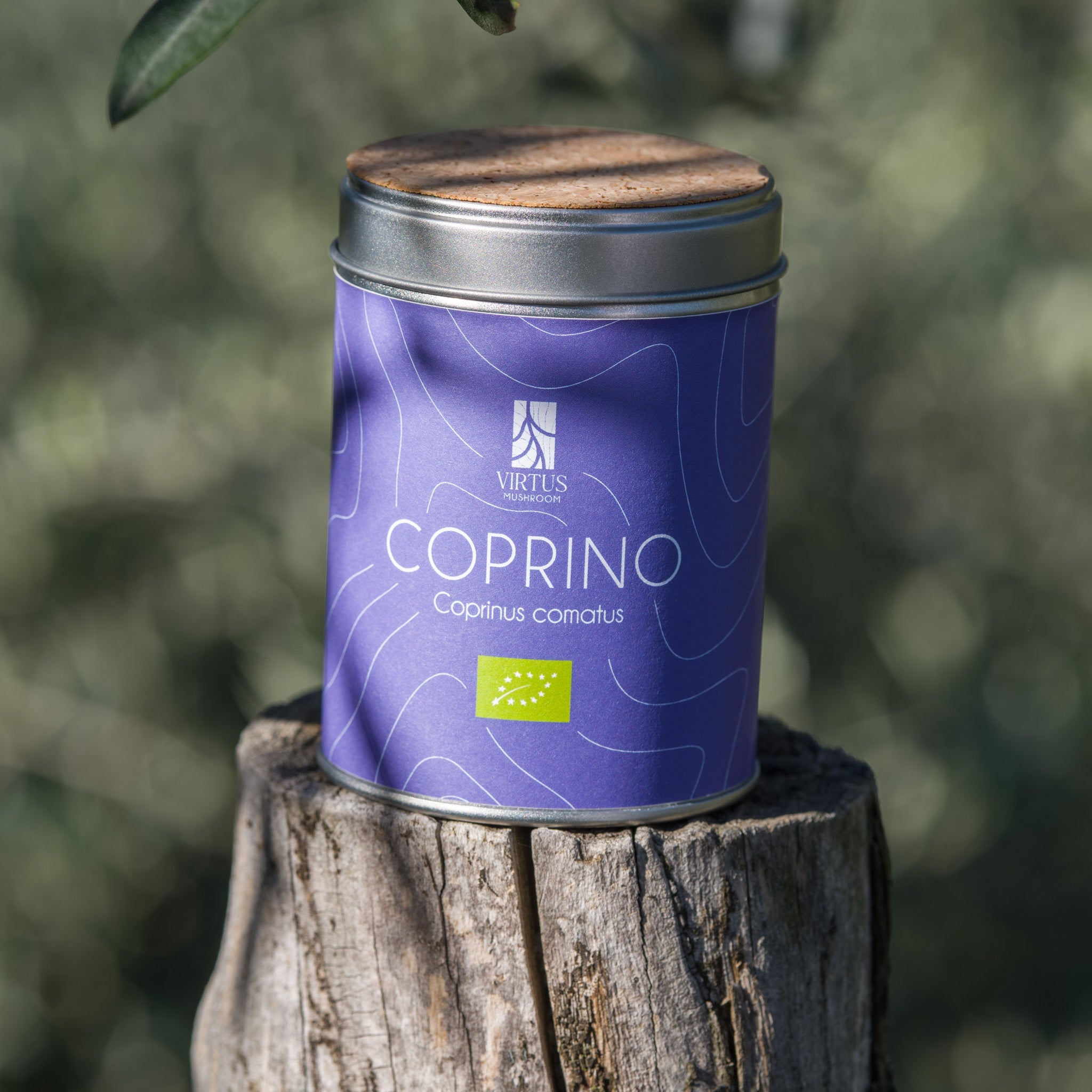 Coprino (Coprinus comatus) biologico: barattolo con sughero poggiato su un ceppo nel bosco - Virtus Mushroom