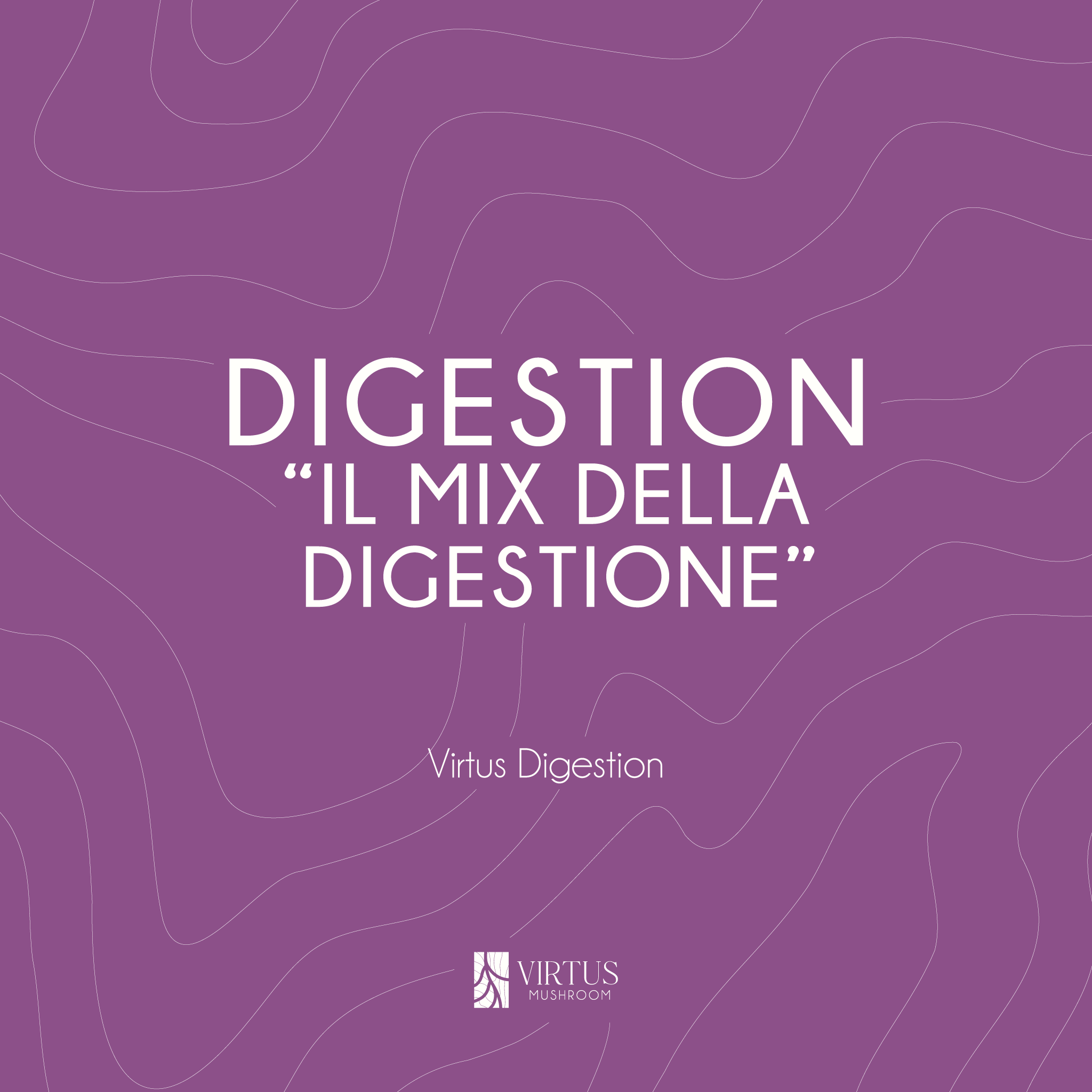 Grafica di presentazione per il Virtus Digestion biologico italiano - Virtus Mushroom