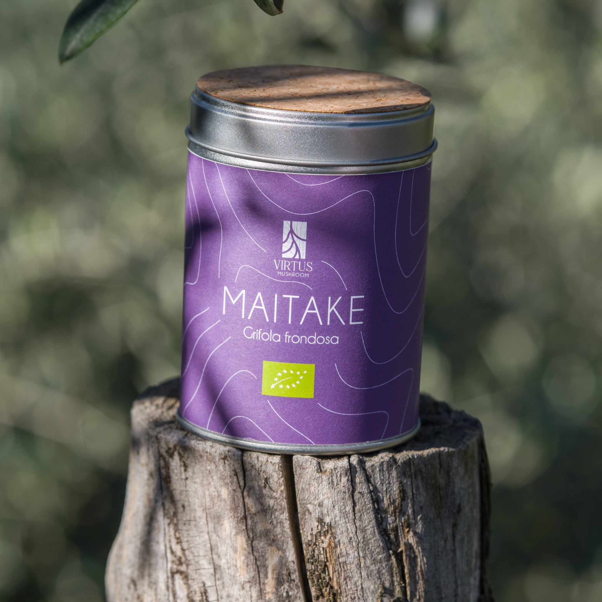 Maitake (Grifola frondosa) biologico: barattolo con sughero poggiato su un ceppo nel bosco - Virtus Mushroom