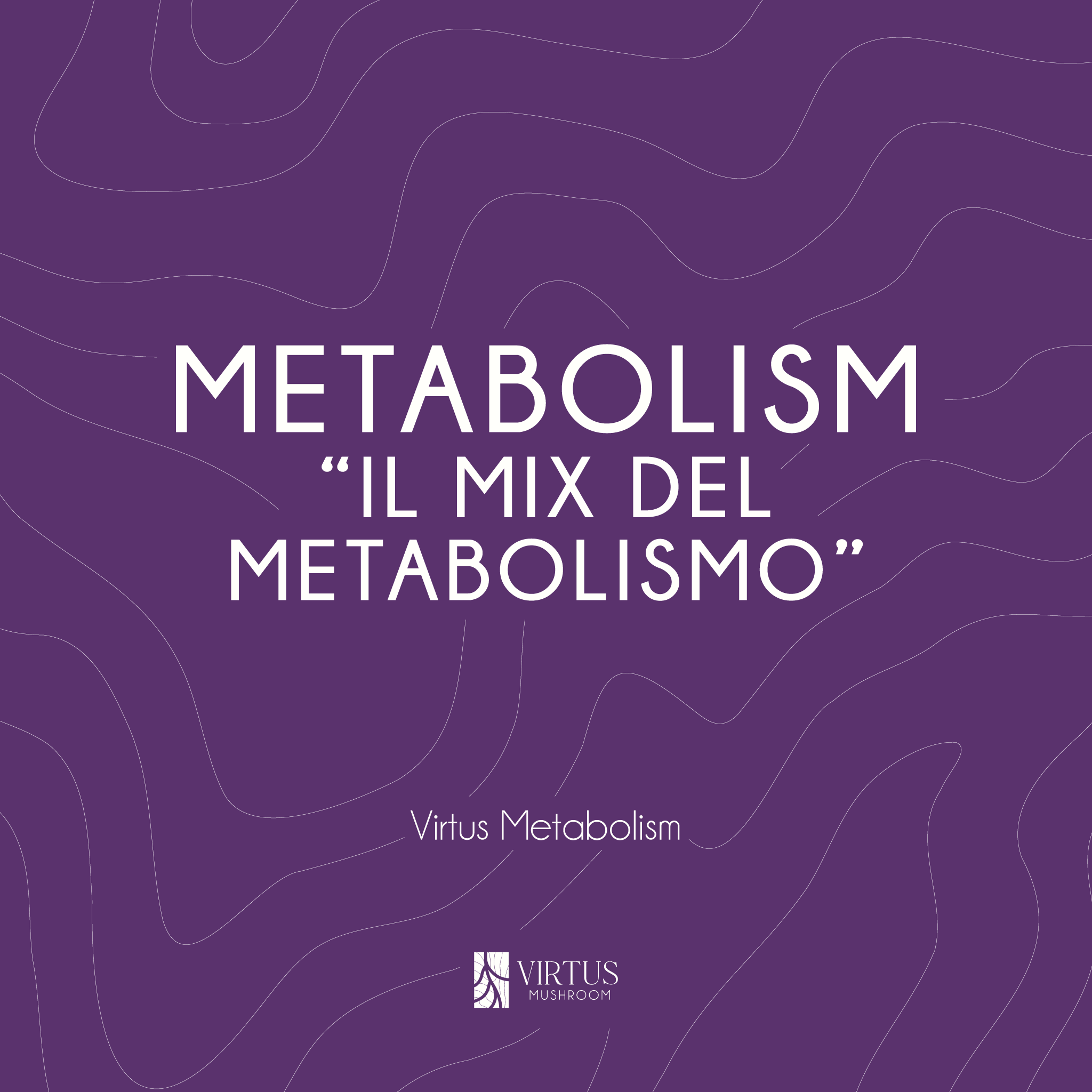L'essenza e il soprannome del Virtus Metabolism in formato illustrativo - Virtus Mushroom