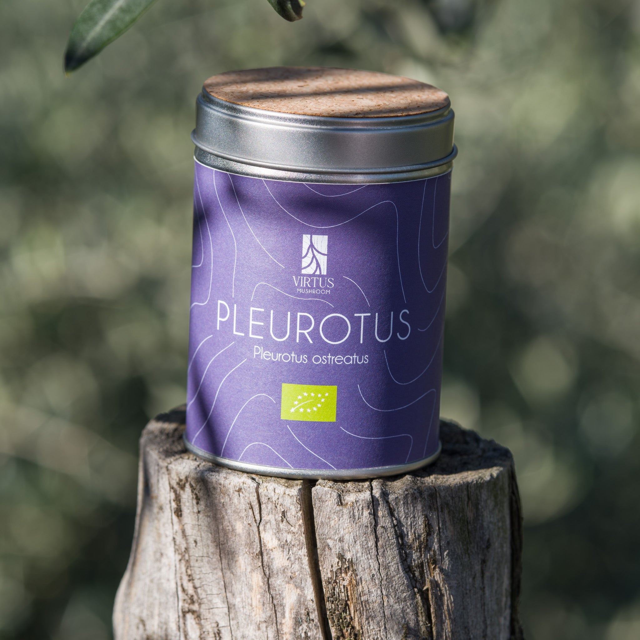 Confezione di Pleurotus ostreatus bio immersa nella natura su tronco d'albero - Virtus Mushroom