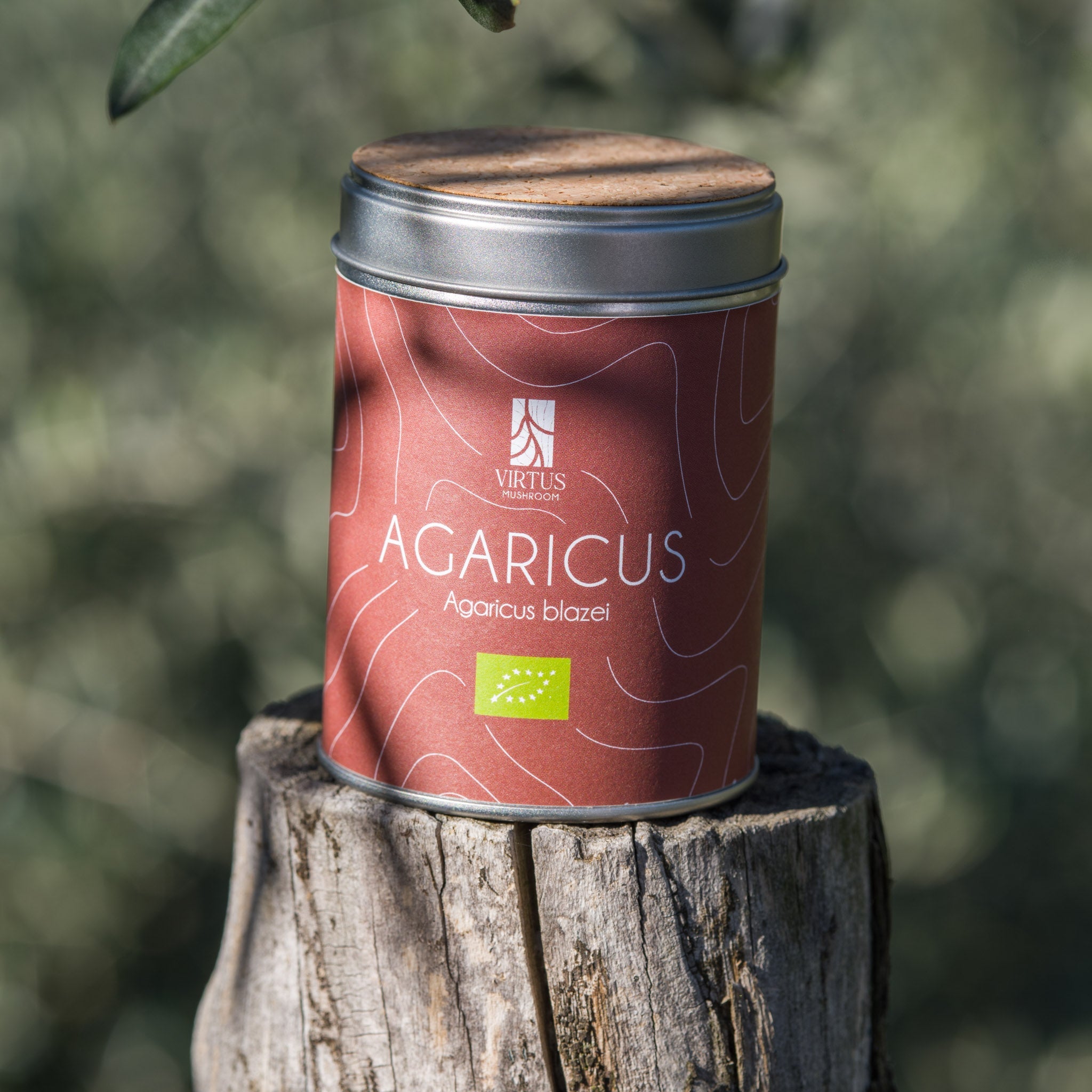 Agaricus blazei coltivato in Liguria, barattolo in latta fotografato su legno all'aperto - Virtus Mushroom