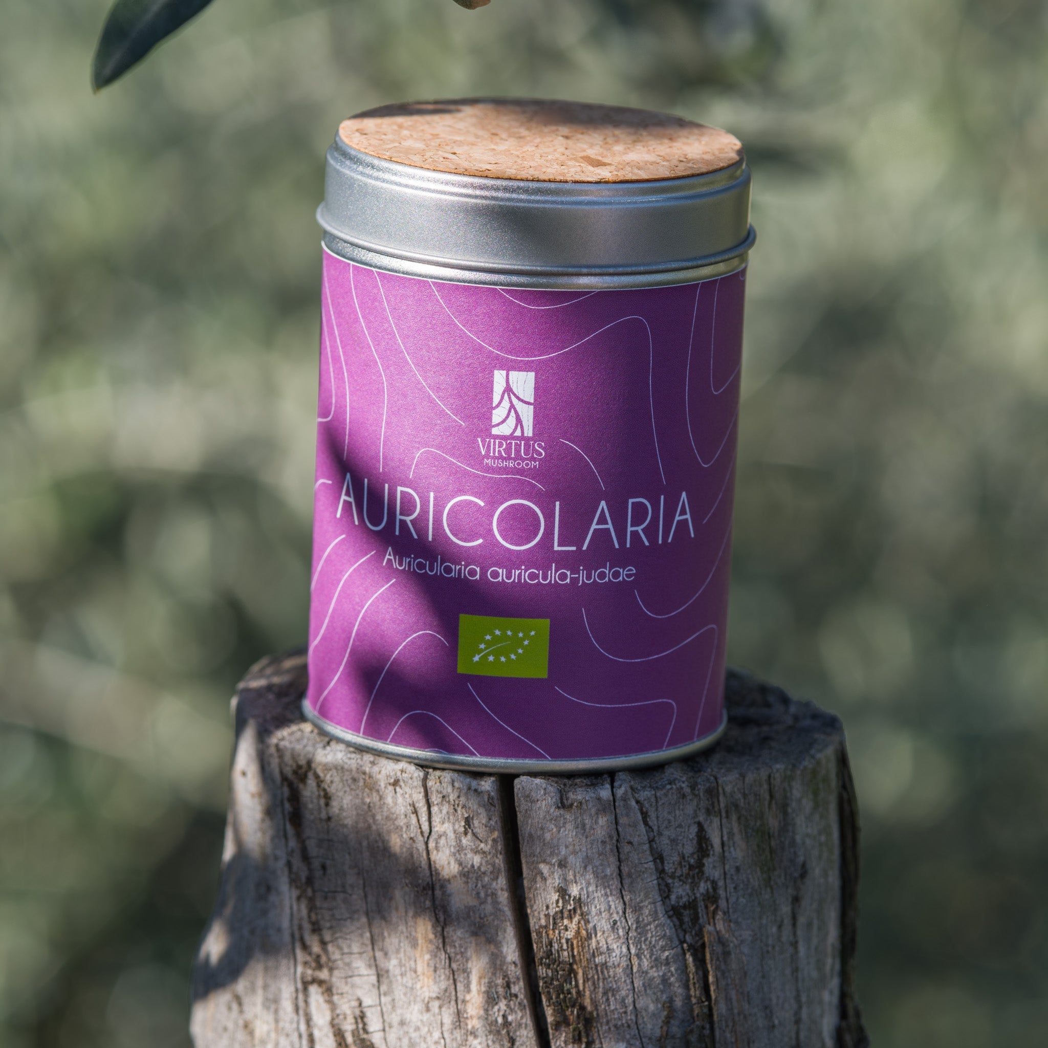 Auricularia a. judae biologico: barattolo con sughero poggiato su un ceppo nel bosco - Virtus Mushroom