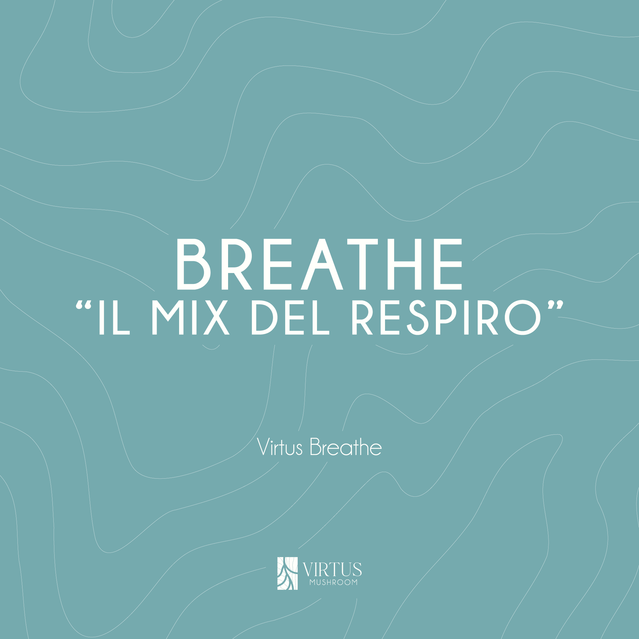 L'essenza e il soprannome del Virtus Breathe in formato illustrativo - Virtus Mushroom