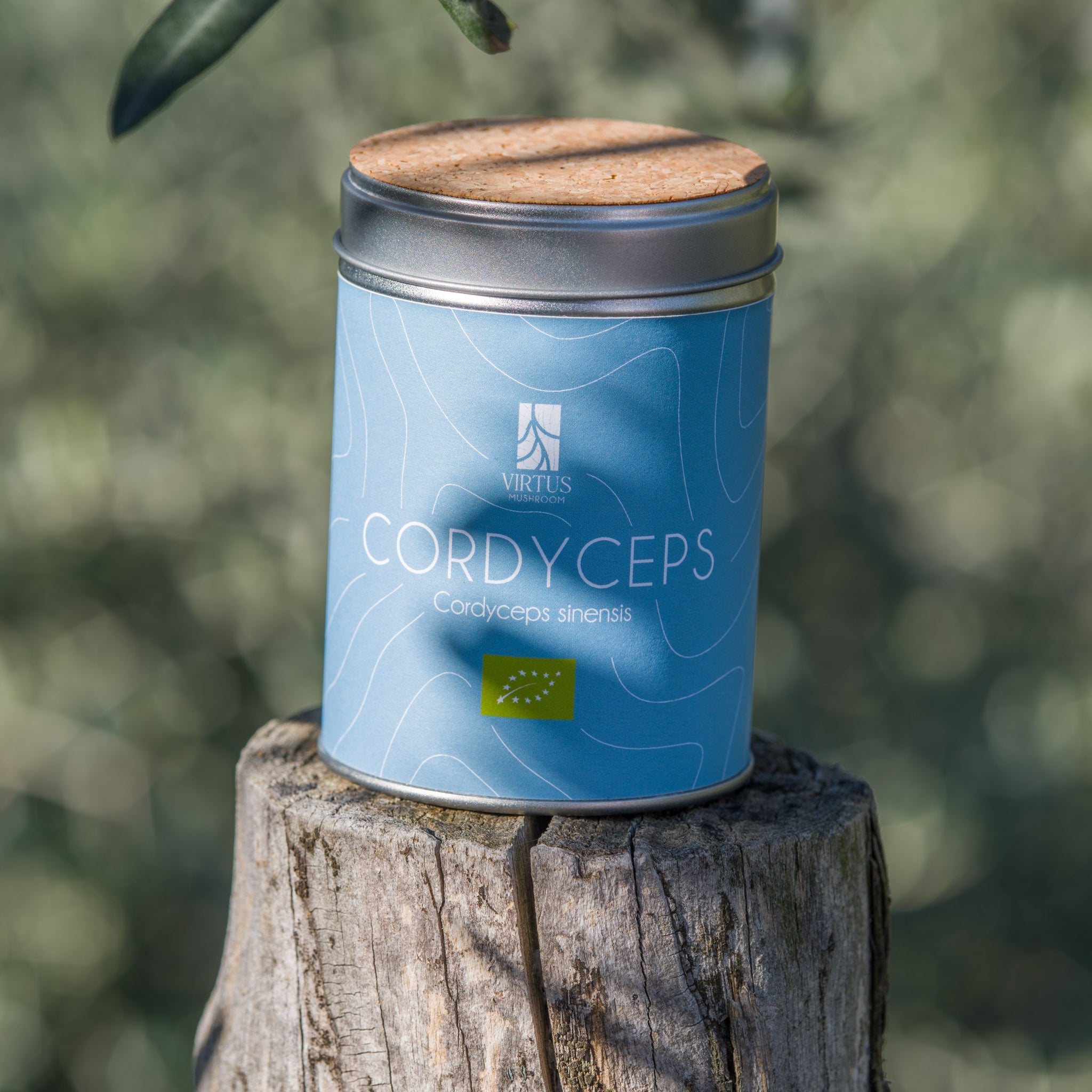 Cordyceps sinensis coltivato in Liguria, barattolo in latta fotografato su legno all'aperto - Virtus Mushroom
