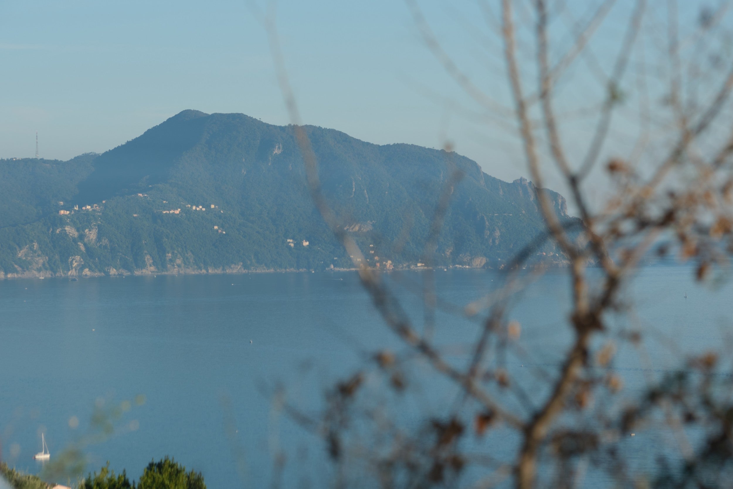 Veduta del promontorio ligure sul mare con rami in primo piano