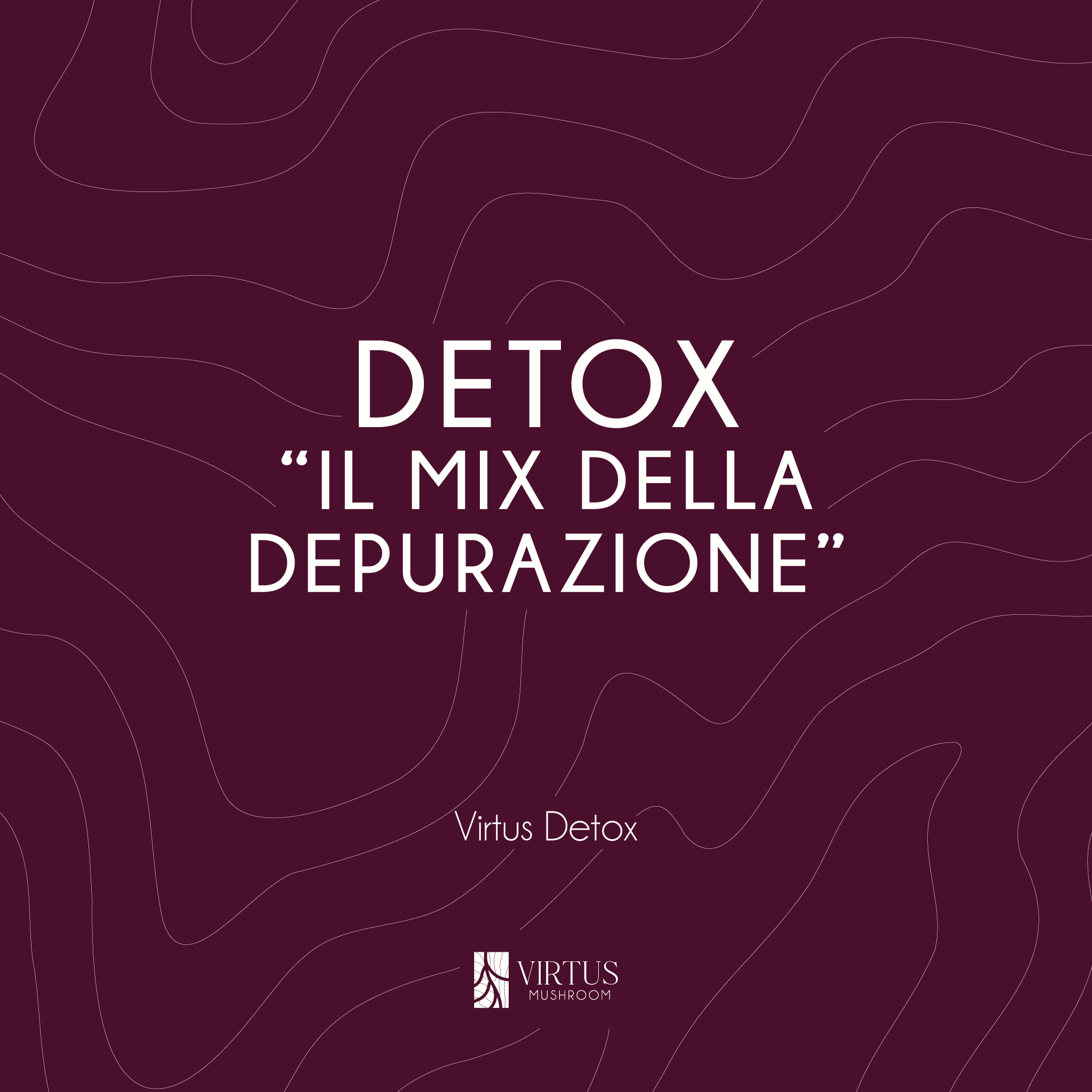 Scheda introduttiva del Virtus Detox: soprannome e identità del fungo - Virtus Mushroom