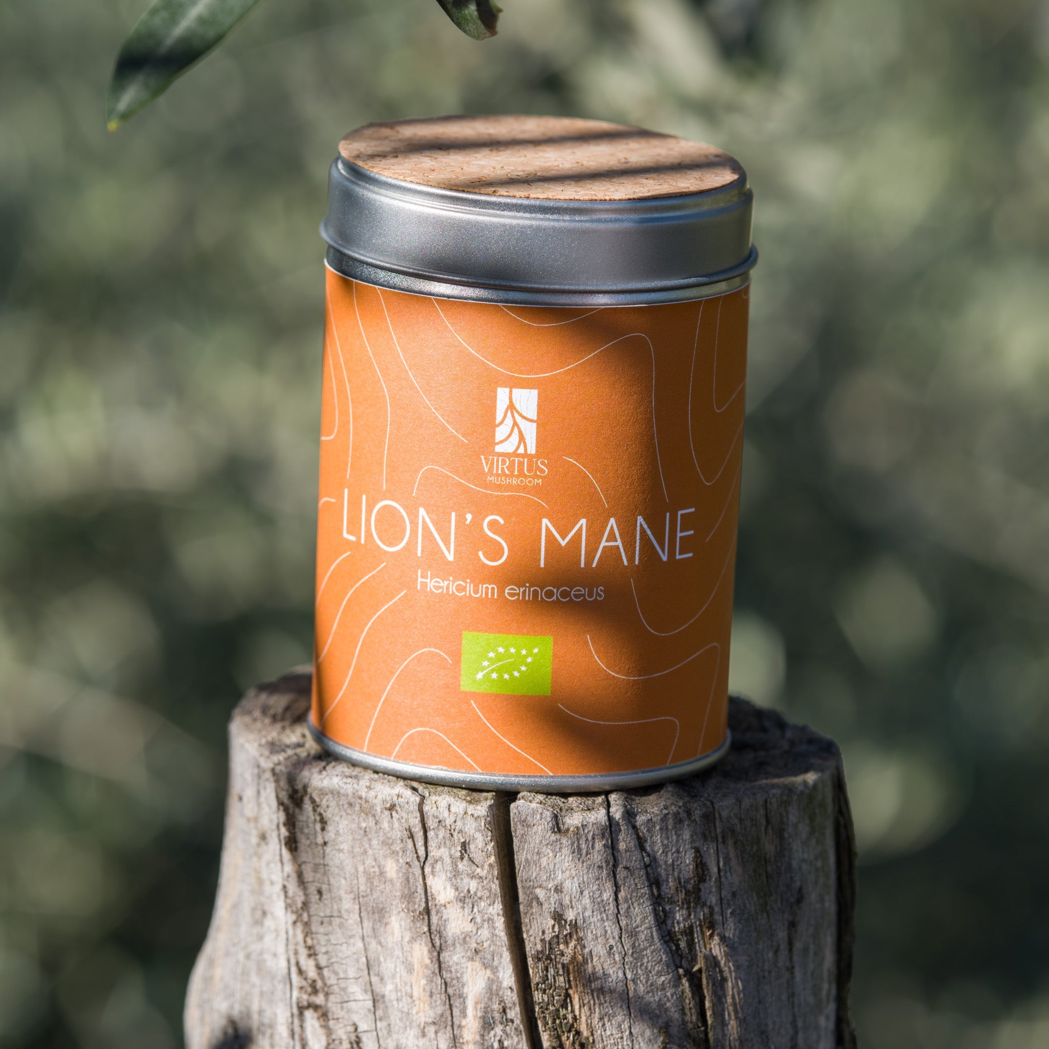 Lion's Mane (Hericium erinaceus) biologico: barattolo con sughero poggiato su un ceppo nel bosco - Virtus Mushroom