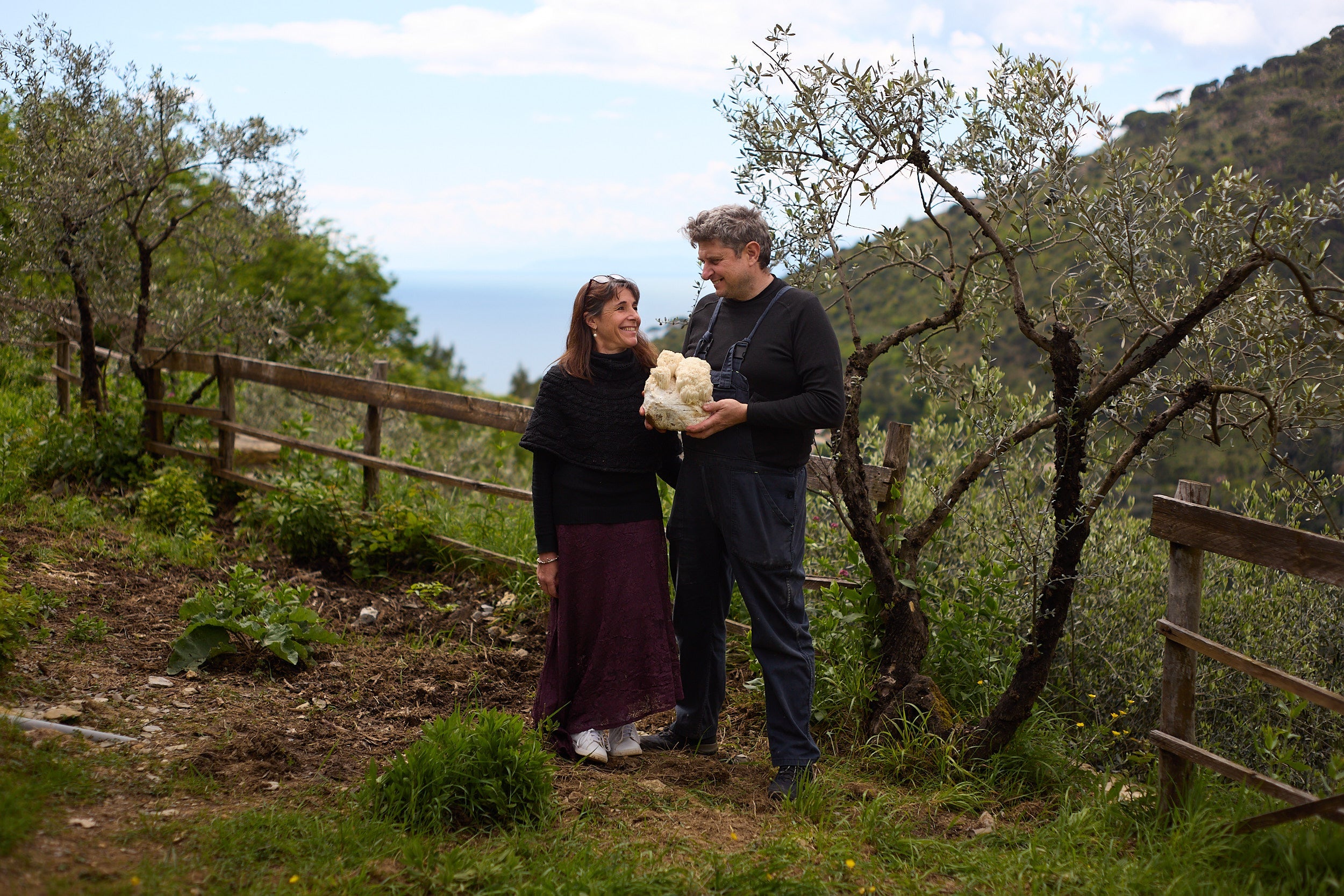 Produttori Virtus Mushroom tengono un fungo Hericium in un paesaggio collinare ligure con ulivi