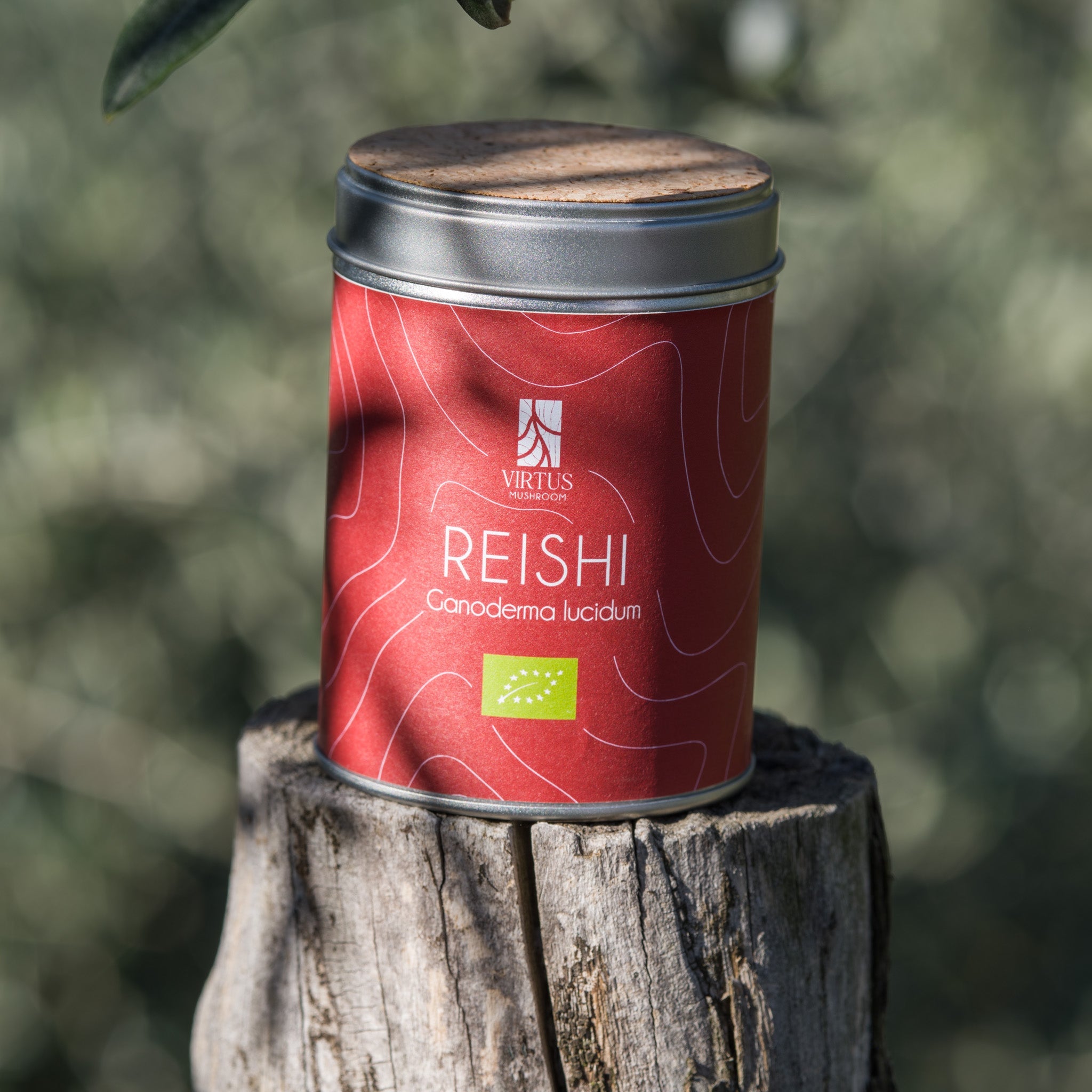 Reishi (Ganoderma lucidum) biologico: barattolo con sughero poggiato su un ceppo nel bosco - Virtus Mushroom