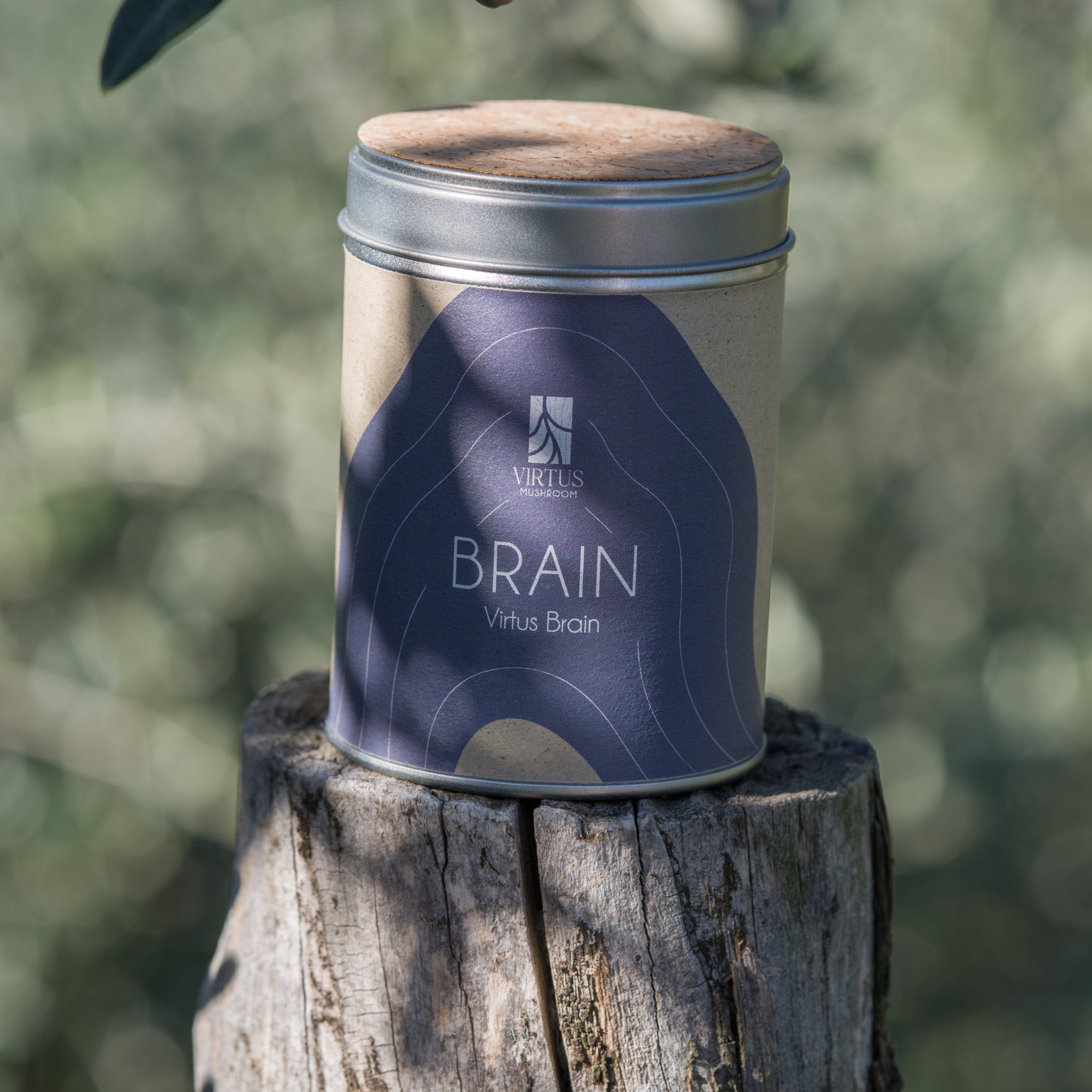 Virtus Brain coltivato in Liguria, barattolo in latta fotografato su legno all'aperto - Virtus Mushroom