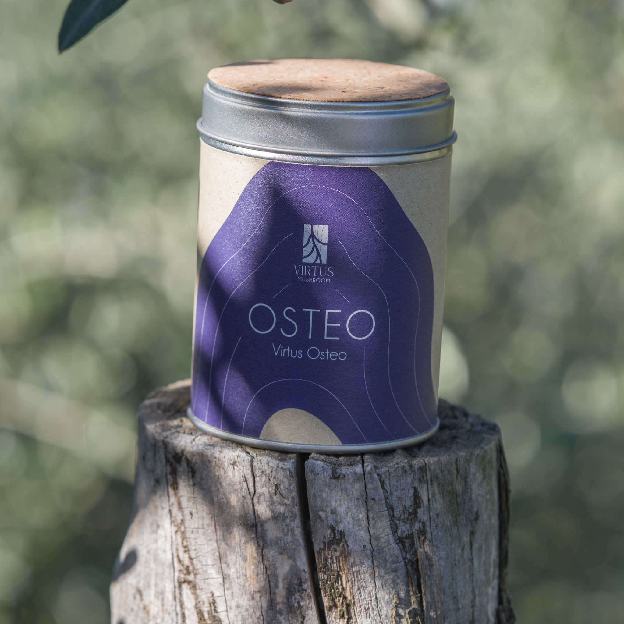 Virtus Osteo coltivato in Liguria, barattolo in latta fotografato su legno all'aperto - Virtus Mushroom