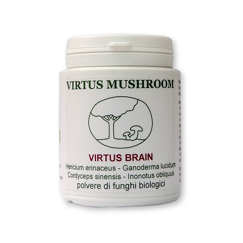 Virtus Brain