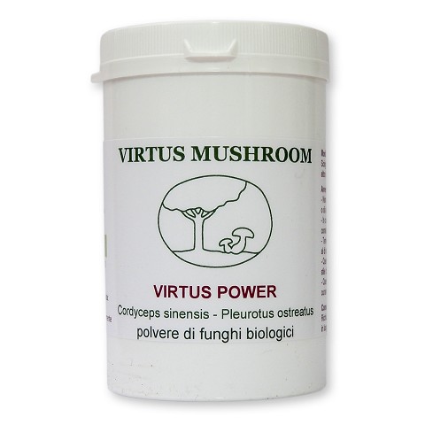 Virtus Power